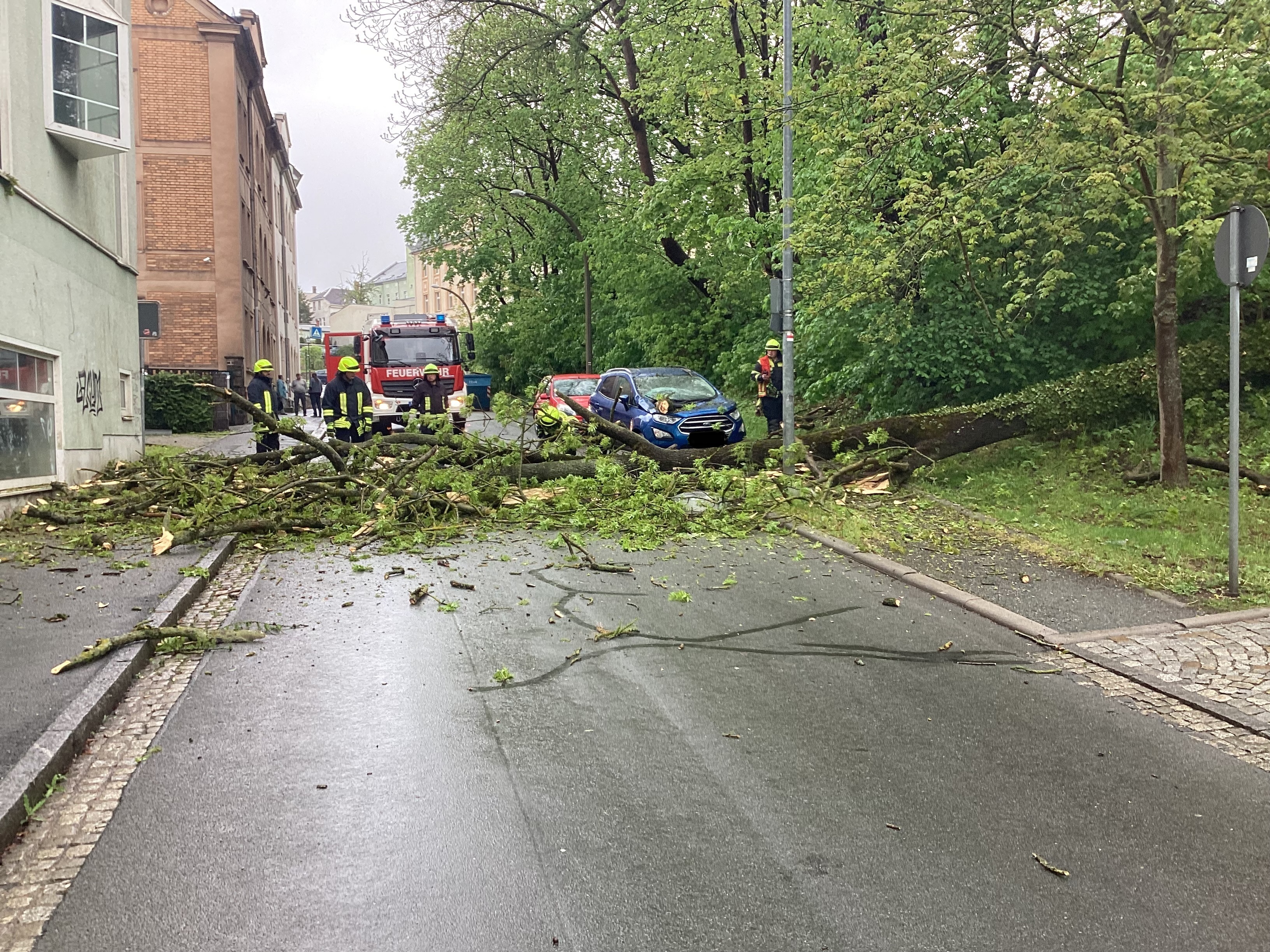 Einsatzfoto Baum über Straße