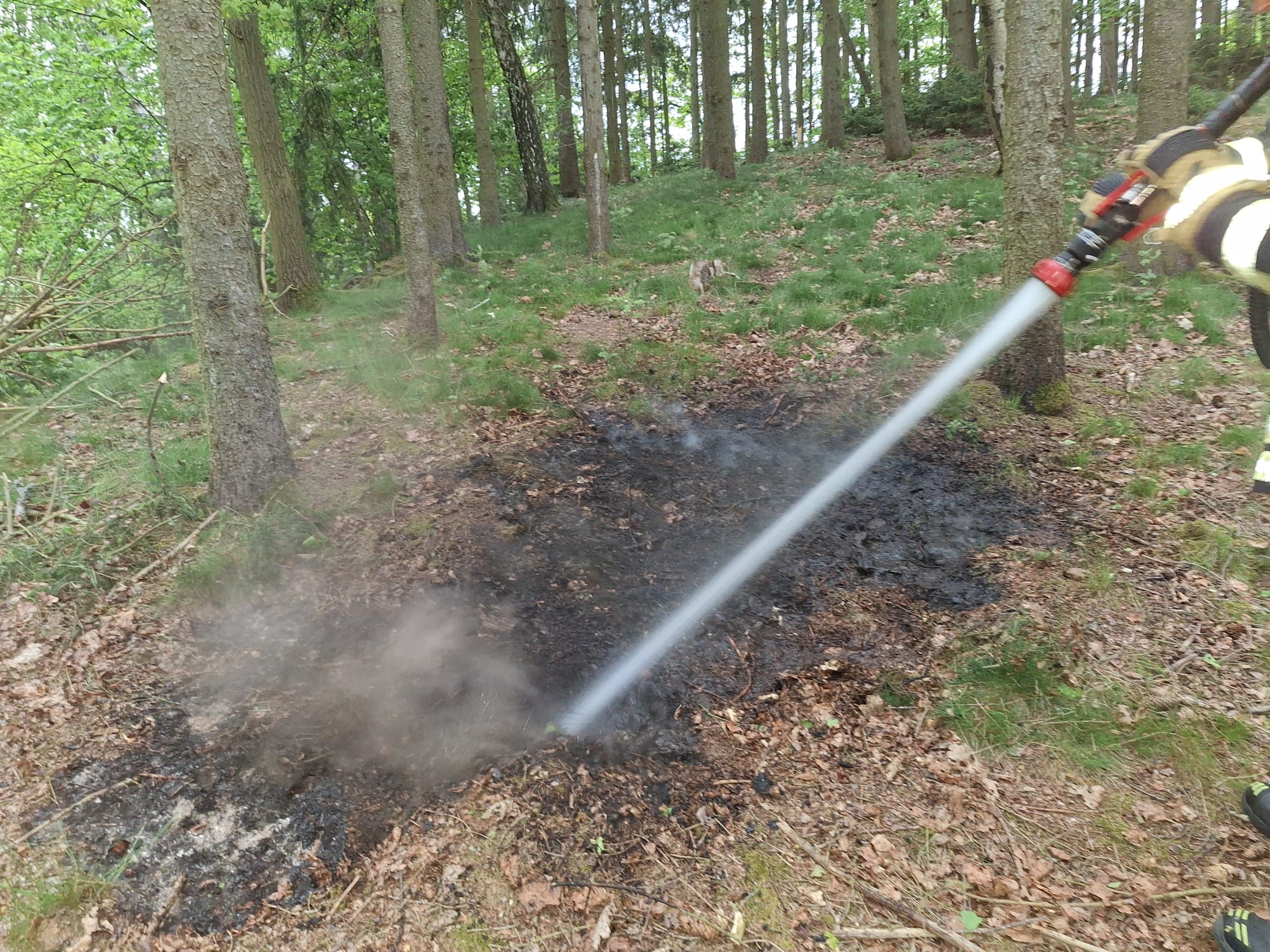 Einsatzfoto Flächenbrand