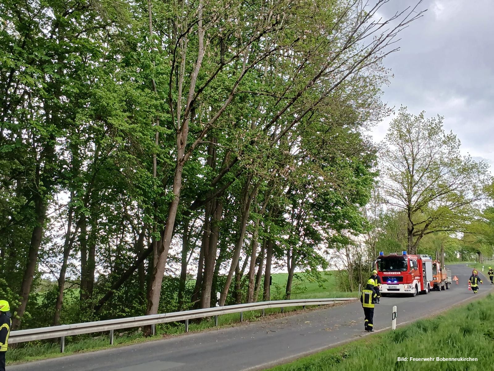 Einsatzfoto Baum droht auf Straße zu stürzen