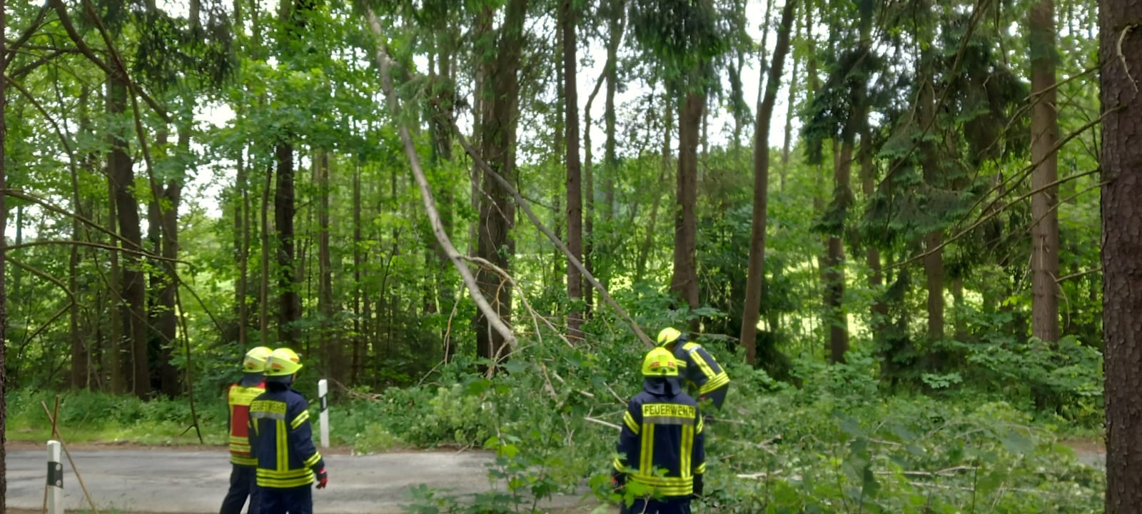 Einsatzfoto Ast droht auf Straße zu stürzen