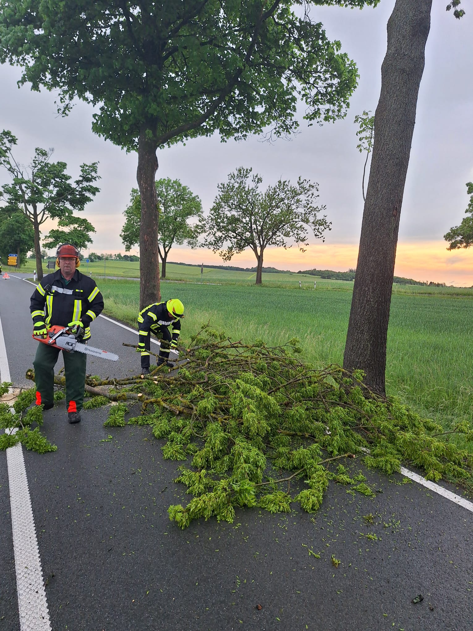 Einsatzfoto Ast droht auf Straße zu stürzen