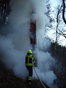 Brand - Baum