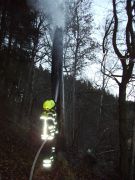 Brand - Baum