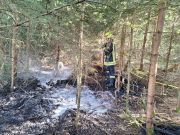 Flächenbrand