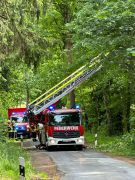 Ast droht auf Straße zu stürzen
