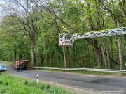 Baum droht auf Straße zu stürzen