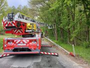 Baum droht auf Straße zu stürzen