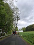Baum droht auf Straße zu stürzen
