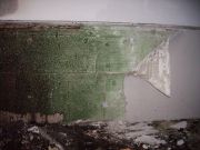 Container