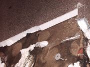 Brand -  Müllcontainer