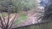 Schlamm im Keller