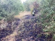 Überörtlicher Einsatz - Brand Wald Wiese Feld